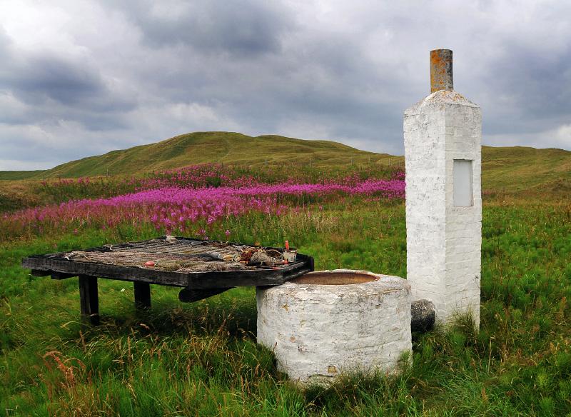 Sommerferie_08 667_1.jpg - Tjæregryde, Dokkedal, Nordjylland